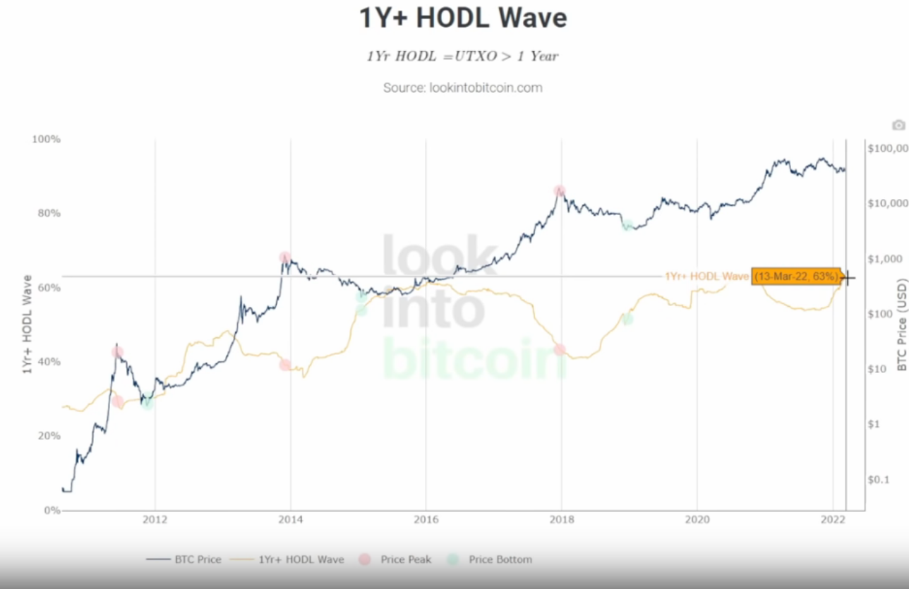 ca-voi-btc