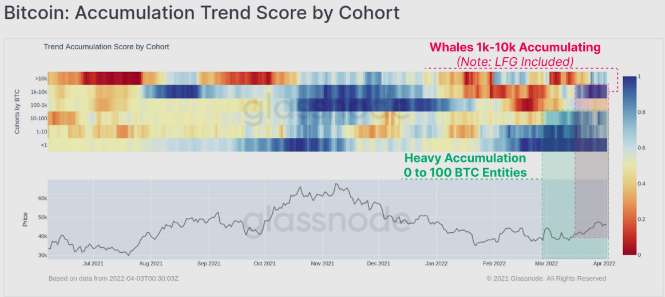 bitcoin-tich-luy