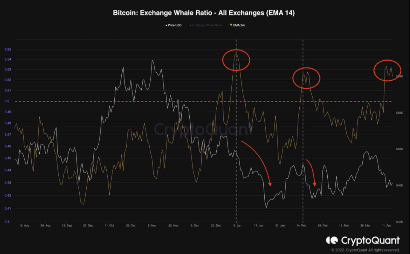 btc-pha-vo