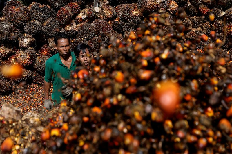 Indonesia MPs seek palm oil export ban review as industry warns on storage