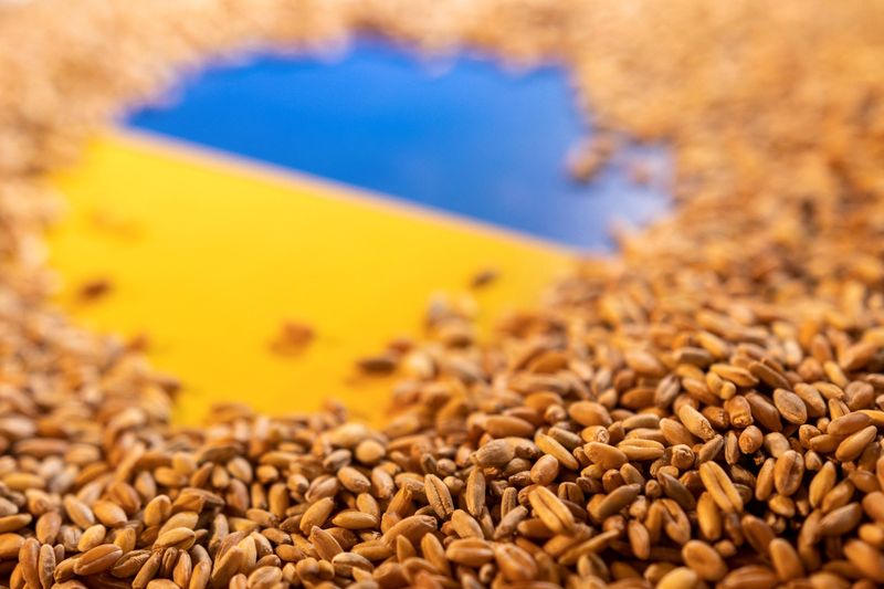 Analysis-The sea mines floating between Ukraine’s grain stocks and the world