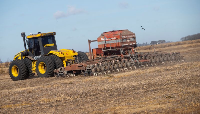 Argentina trucker strike ends, boosting grains exports