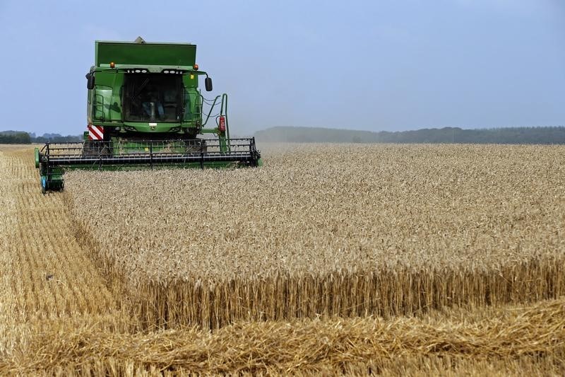 War-Strained Wheat Market Faces Moment of Truth