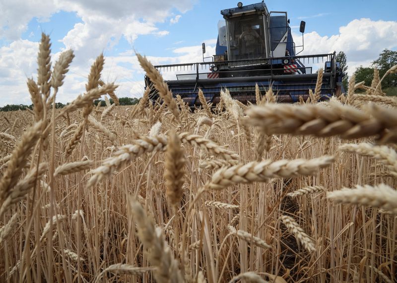 As Ukraine grain deal emerges, U.S. aims to ease concerns over Russia sanctions