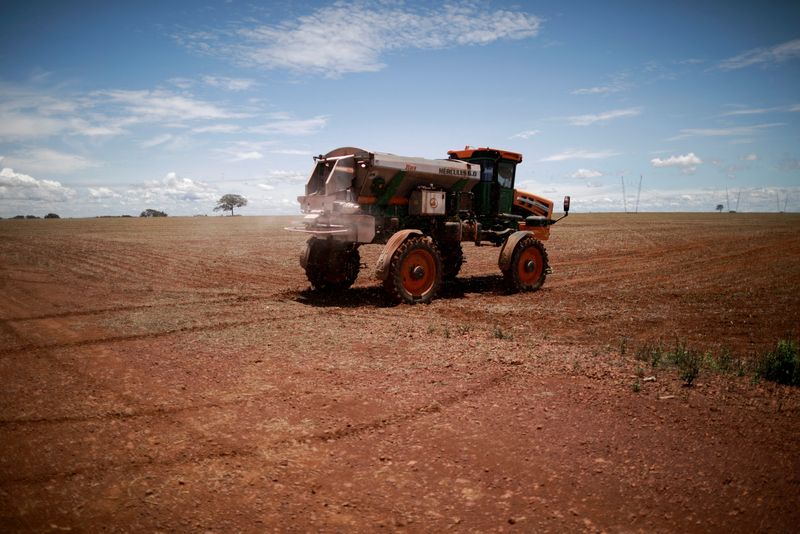 Brazil too important a food producer to depend on fertilizer imports, industry says