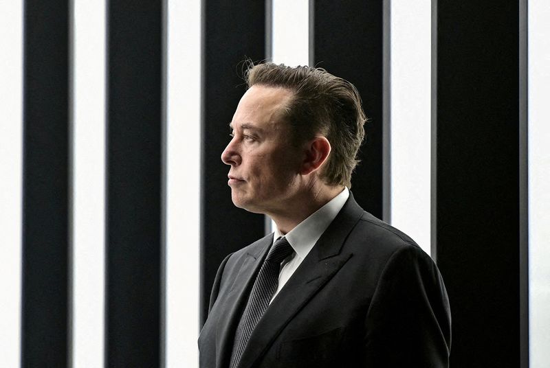 Analysis-Musk tests limits of governance by having children with aide