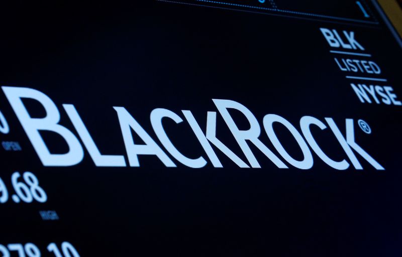 BlackRock, bondholders must cancel Zambia debt -economists, experts