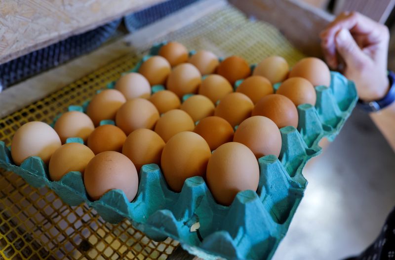 Soaring egg prices force French food industry to change recipes