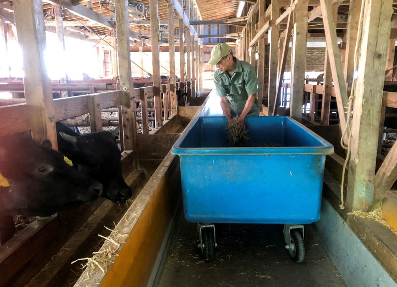 Japan targets farm export gains to blunt weak yen's pain