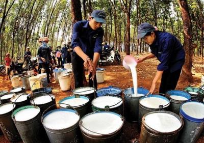 Cổ phiếu cao su ngày càng “chìm sâu”