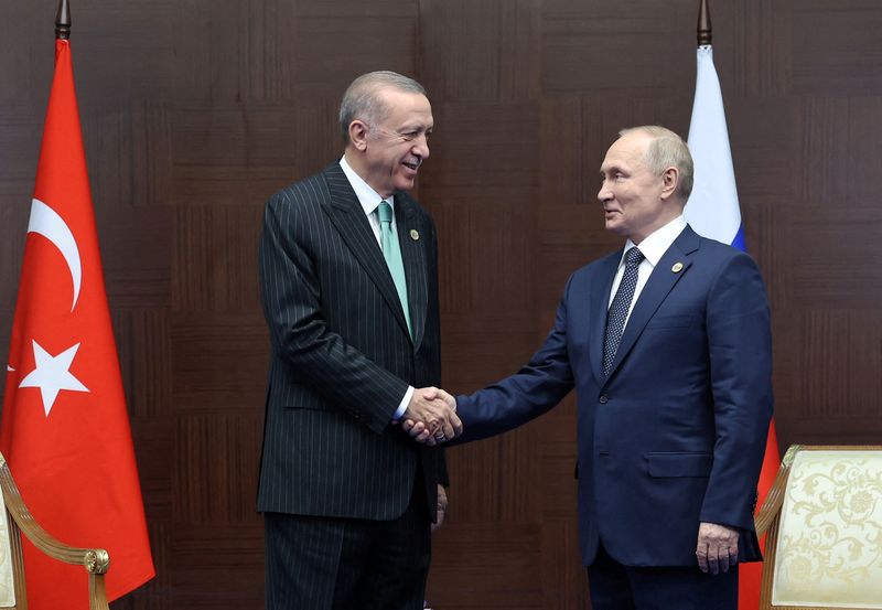 Putin touts Turkey gas hub while Europe frets over supply