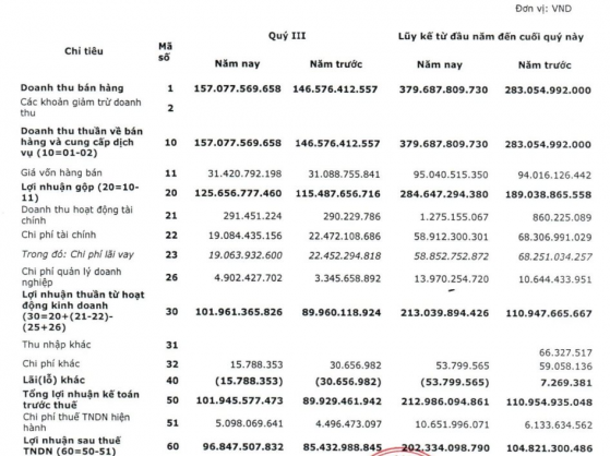 Điện Miền Bắc 2 (ND2) báo lãi quý 3/2022 tăng 236%