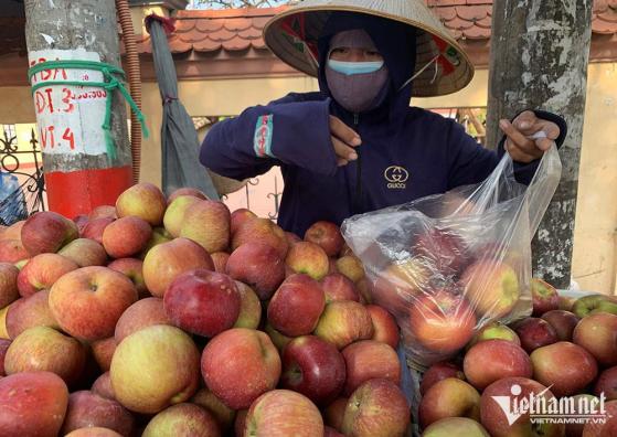 ‘Bóc giá’ trái cây Trung Quốc tại chợ đầu mối