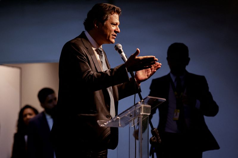 Brazil's incoming Finance Minister Haddad says fiscal expansion won't help at the moment