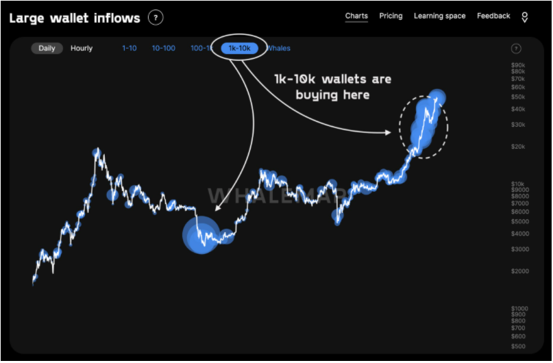 ca-voi-bitcoin