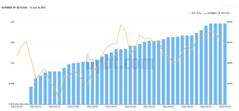 bitcoin-giu-duoi