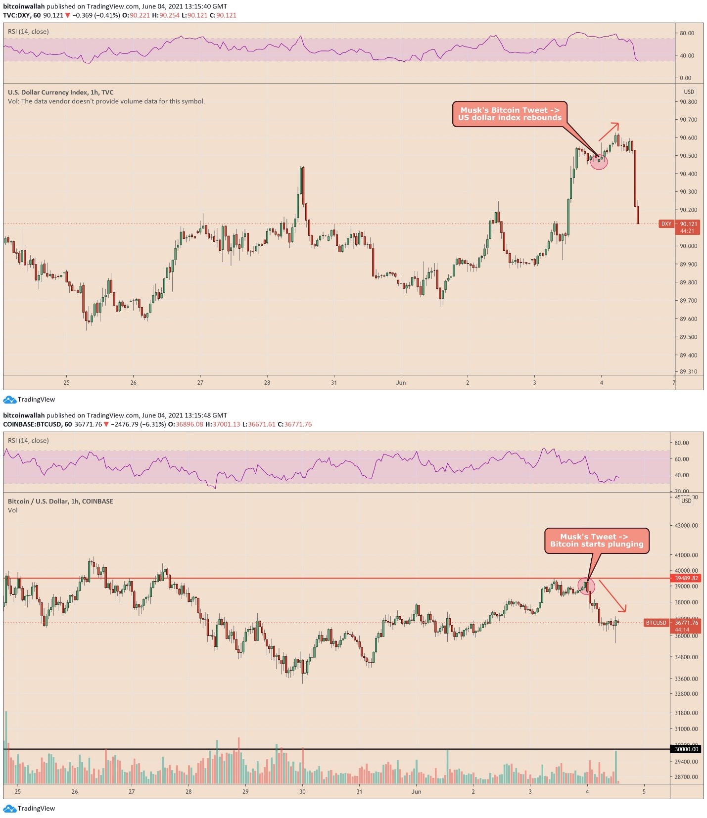 Bitcoin - Elon Musk 1