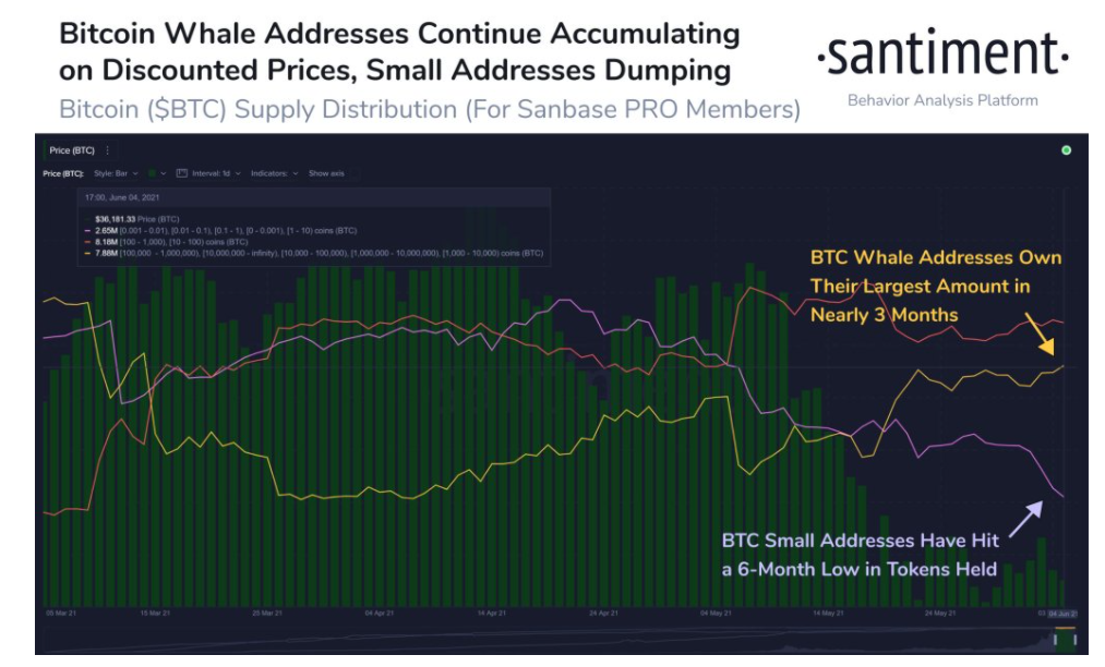 ca-voin-bitcoin