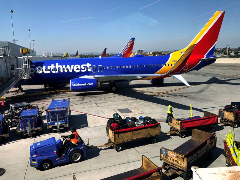 Southwest Airlines temporarily halts flights over computer issue