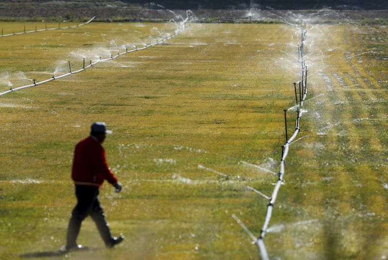 Water futures market fails to make a splash with California farmers