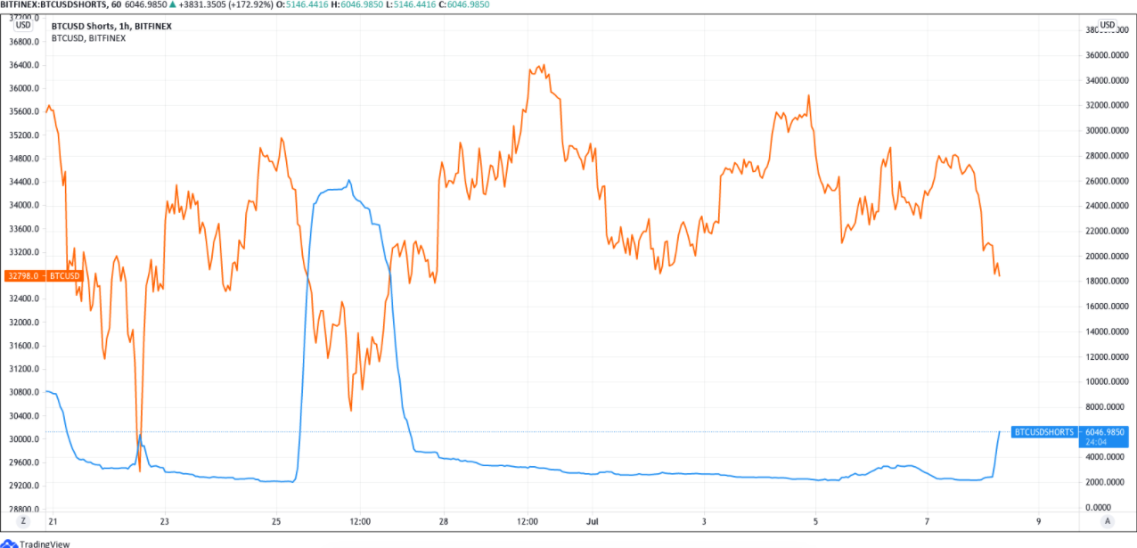 Mức hỗ trợ 33.000 đô la bị mất khi cá voi Bitfinex Short hơn 5.000 BTC