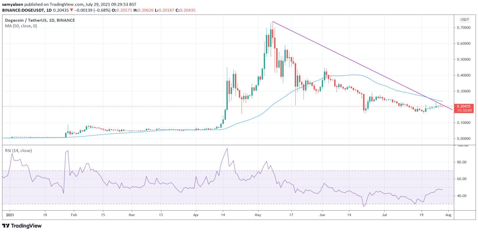 Chris Larsen của Ripple đưa ra cảnh báo cho những holder Dogecoin (DOGE)