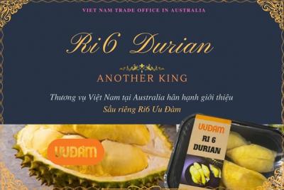 Sầu riêng Ri6 được bán gần 430.000 đồng/kg tại Úc vẫn 'cháy hàng'