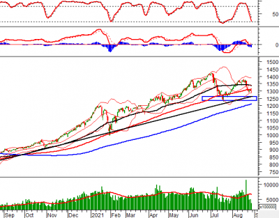 Phân tích kỹ thuật phiên chiều 27/08: VN-Index xuất hiện cây nến Hammer