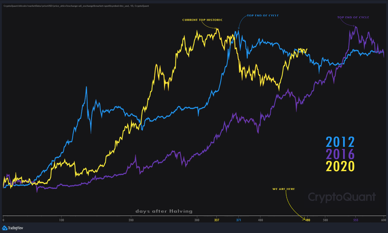 Quant giải thích lý do tại sao Bitcoin vẫn chưa đạt đỉnh ở chu kỳ tăng giá hiện tại