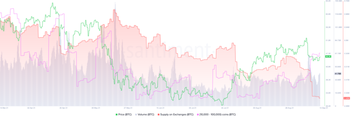 vi-the-long-bitcoin