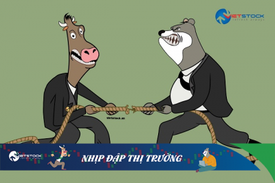 Nhịp đập Thị trường 11/11: Mở cửa giằng co, bất động sản vẫn nổi sóng