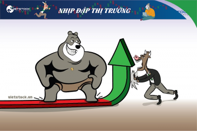 Nhịp đập Thị trường 15/11: Cổ phiếu ngân hàng xanh trở lại