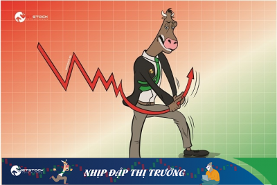 Nhịp đập Thị trường 30/11: Ngân hàng đưa VN-Index về quanh mốc 1,500 điểm