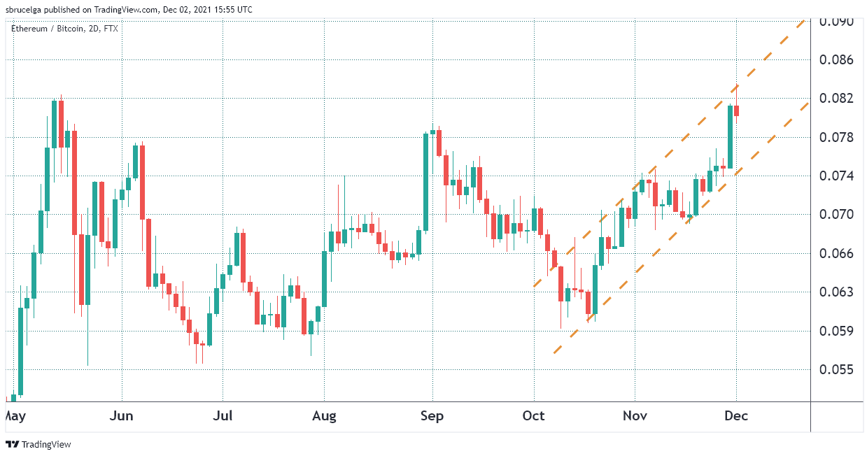 Phe bò cần phải đẩy Bitcoin lên $58.000 để tranh tổn thất, ETH cần tăng lên $4.700 tạo lợi nhuận $100 triệu cho quyền chọn hôm nay