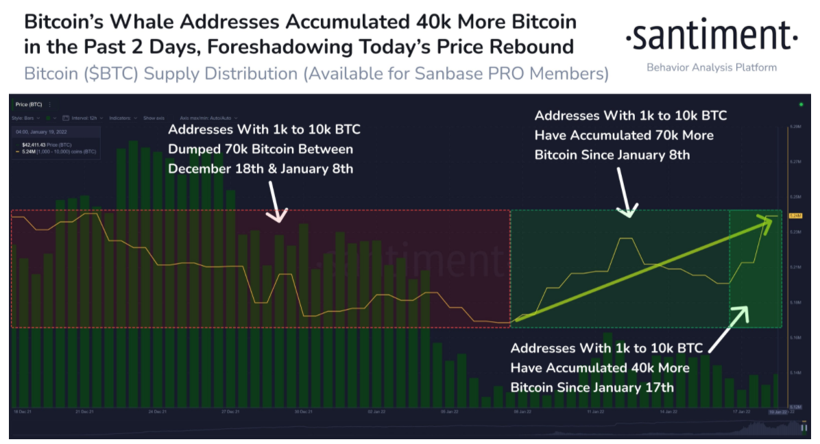 ca-voin-btc