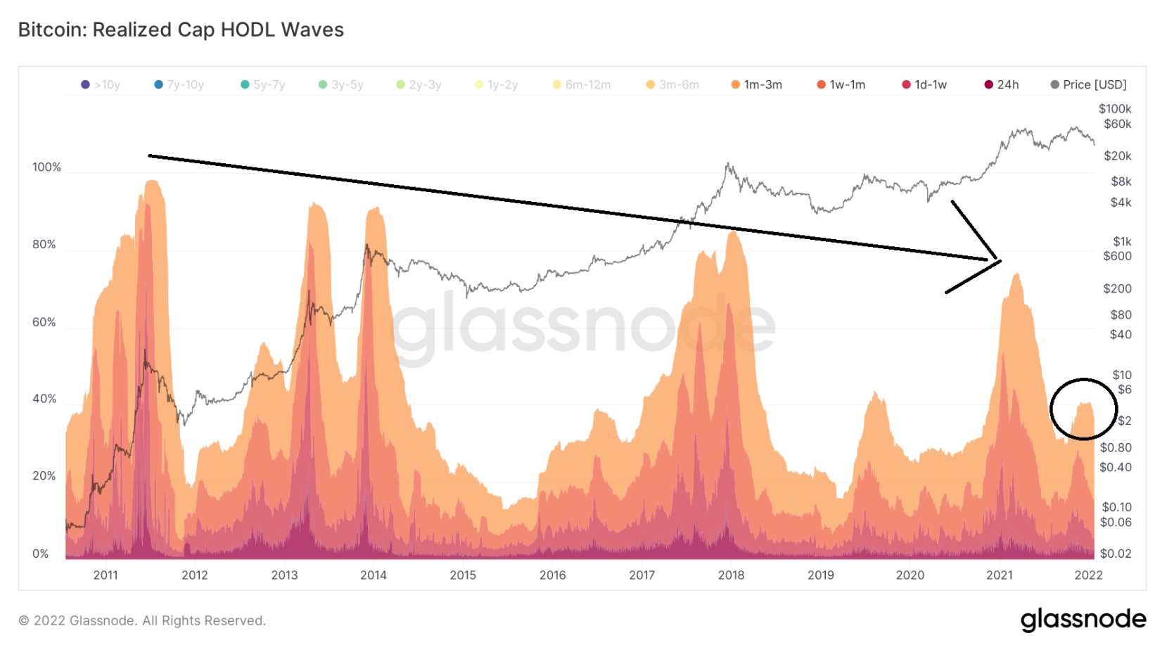 HODL-Wave-btc