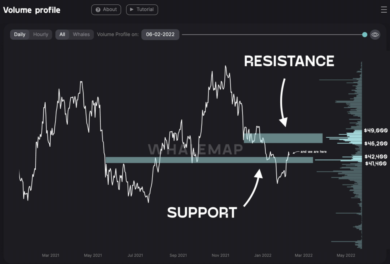 Sự phục hồi 30% trong hai tuần của Bitcoin đã giúp cá voi quay trở lại chế độ tích lũy